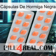 Cápsulas De Hormiga Negra 27